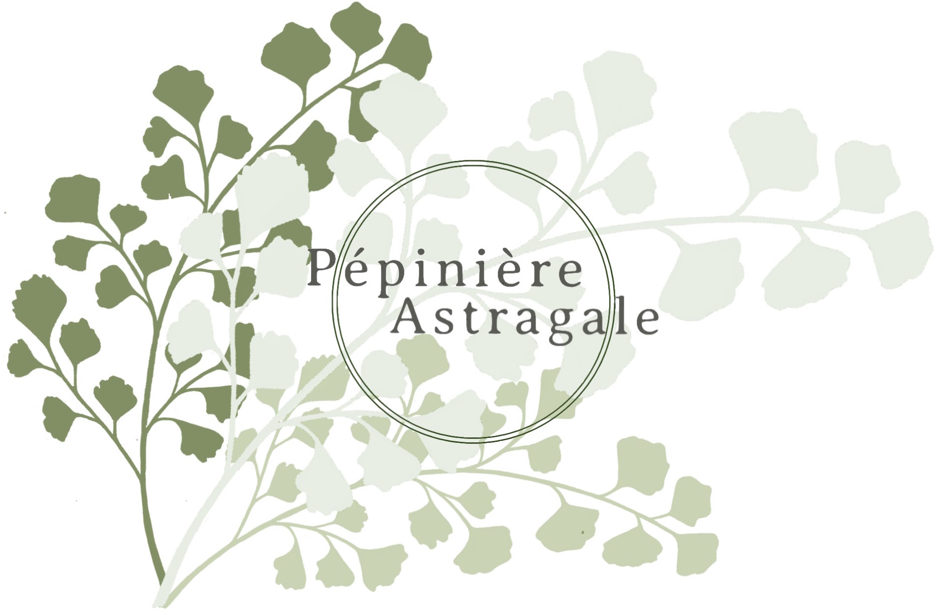 Pépinière Astragale